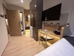 Mount Elizabeth Link (D9), Apartment #475553501